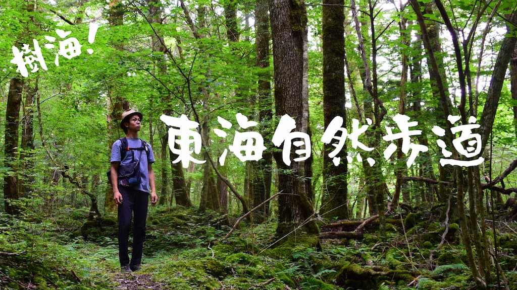 東海道自然歩道をハイキング！ソロキャンプで楽しむソロハイク！山道編